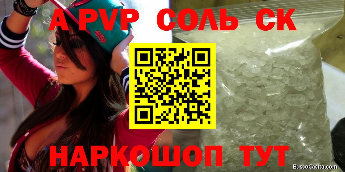 Альфа ПВП СК Мурманск