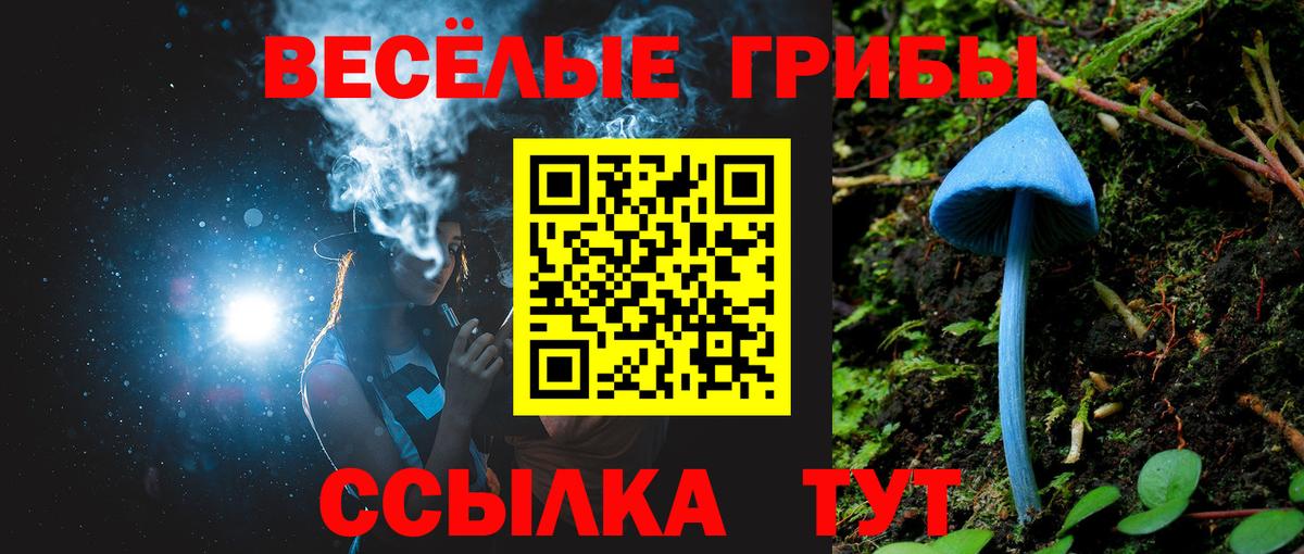 Мурманск  Псилоцибиновые грибы мицелий  Вход с VPN 
